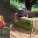 ‘A child for a child’, woman allegedly throws her neighbor’s children in a well after losing her only child in the same manner.