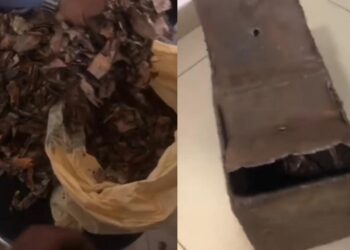“Spend your money, you no gree.” – Netizens reacts as Nigerian man opens his saving box and finds it filled with rotten notes.