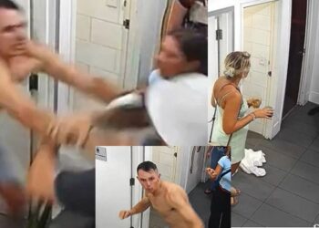 Man attacks cleaner who interrupted his intimate moment in a nightclub toilet (video)
