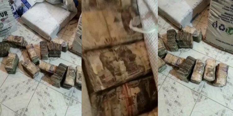 Bags of damaged Naira notes discovered after CBN unveiled newly re-designed Naira notes (video)