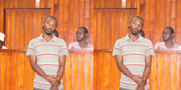 Man uses faeces from his family members to smear his uncle’s house as punishment for being unkind to him after losing his job