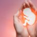 Man arrests his girlfriend for aborting their child without his consent