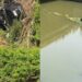 Lady gives thanks to God after surviving a car accident as her vehicle and others skidding off a bridge in Ikire, Osun state