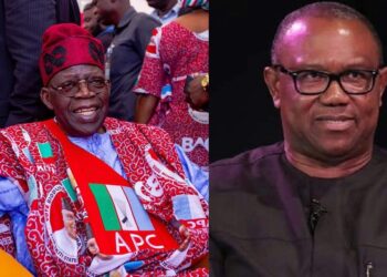 APC lists