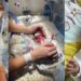 Baby born weighing