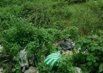 Nursing mother commits suicide inside a bush in Abuja, two year old daughter found crying beside her corpse