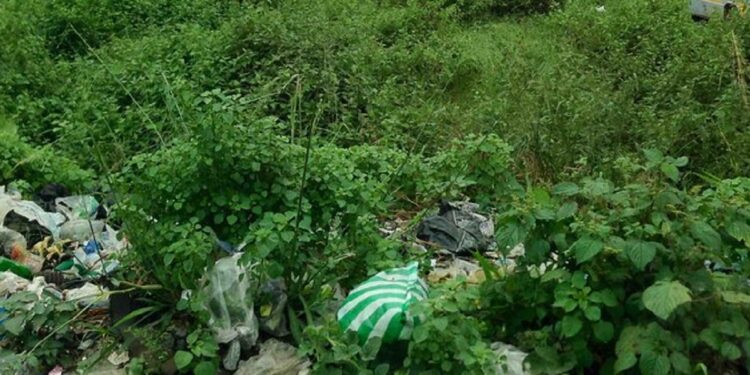 Nursing mother commits suicide inside a bush in Abuja, two year old daughter found crying beside her corpse
