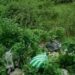 Nursing mother commits suicide inside a bush in Abuja, two year old daughter found crying beside her corpse