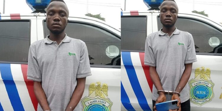 Young man arrested for stealing just weeks after surviving being mobbed at his last attempt.