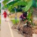 bicycle rider fell