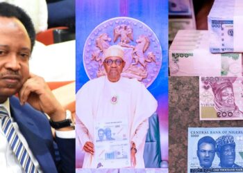 “What shall it profit Naira if it can get a whole new colour and still lose its value?” – Senator Shehu Sani asks