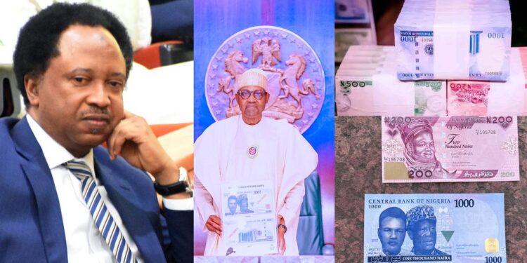 “What shall it profit Naira if it can get a whole new colour and still lose its value?” – Senator Shehu Sani asks