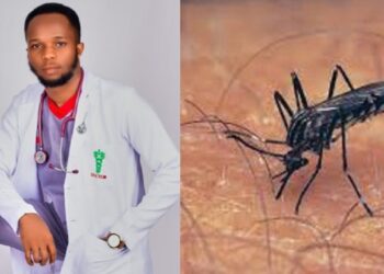 “Consider a mosquitoes’ family before killing it, they don’t just bite for the fun of it” – Twitter Doctor, Penking.