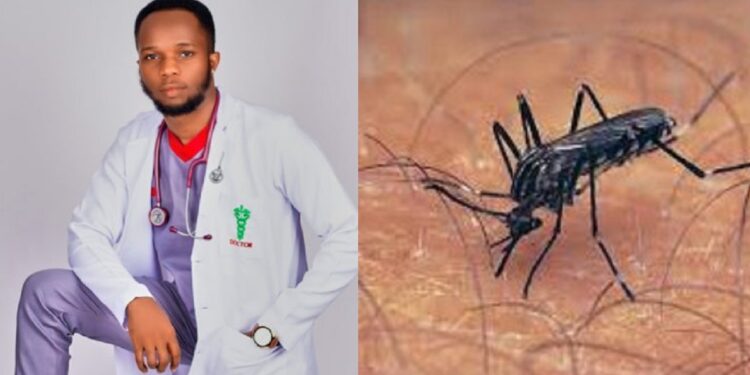 “Consider a mosquitoes’ family before killing it, they don’t just bite for the fun of it” – Twitter Doctor, Penking.
