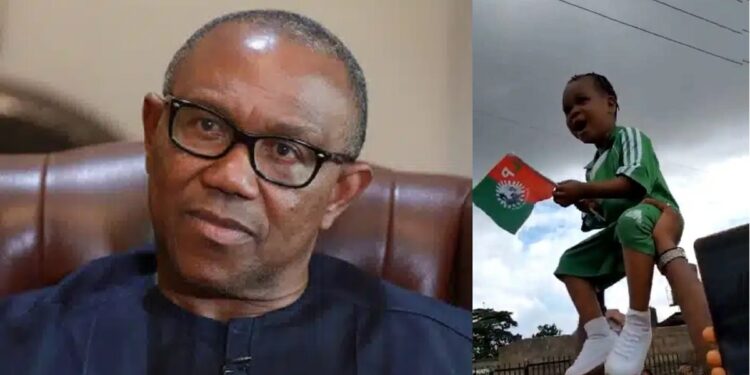 Child right activist sues Peter Obi for involving toddler in election rally.