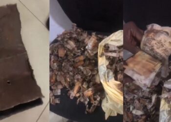 “Millions don go” – Man in pain after opening his piggy bank only to discover that all his money has decayed (video)
