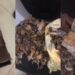 “Millions don go” – Man in pain after opening his piggy bank only to discover that all his money has decayed (video)