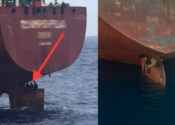 Three stowaways survive