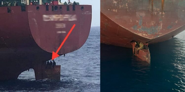 Three stowaways survive