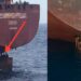 Three stowaways survive