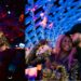 DJ Cuppy officially announces her engagement to Ryan Taylor, amidst recent drama,