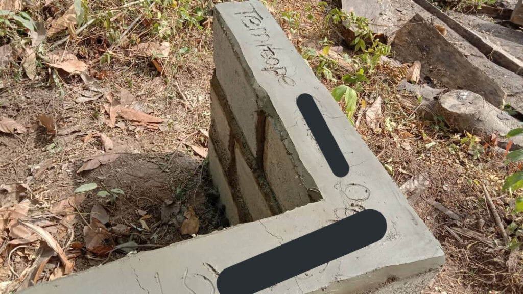 "First million, first land, first proper house, first car" — Nigerian