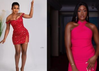 “You’re a bastard son of a thousand fathers” – Phyna lashes at Daniella’s brother over claims of having ‘toxic fans’