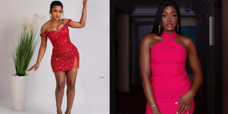 “You’re a bastard son of a thousand fathers” – Phyna lashes at Daniella’s brother over claims of having ‘toxic fans’