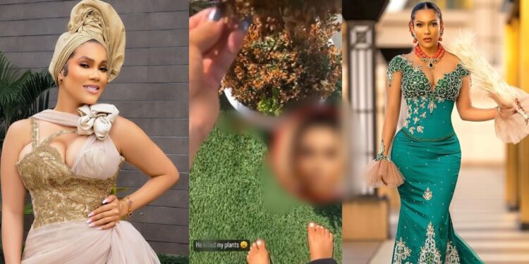 “Speaking Igbo with accent” – Reactions as BBNaija star, Maria chides her worker in local dialect (Video)