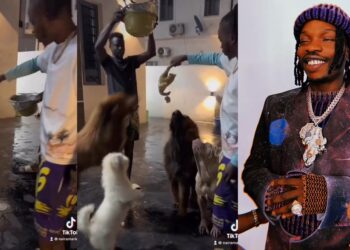 Naira Marley feeds
