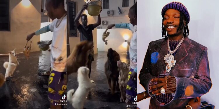 Naira Marley feeds