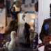 Naira Marley feeds