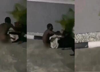 Moment an alleged thief was attacked by two dogs in a compound he broke into (video)
