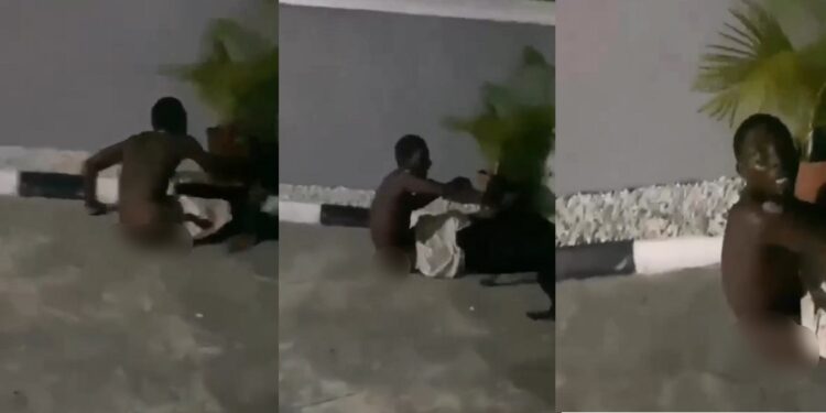 Moment an alleged thief was attacked by two dogs in a compound he broke into (video)