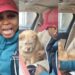 Woman laments bitterly as neighbour’s local dog impregnates her chow chow (Video)