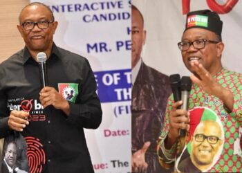 “Any snake that swallows money under my administration must vomit it – Peter Obi