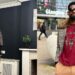 Comedian, Basketmouth reveals the reasons he could not vote