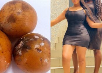 “Avoid Lagos women, they are like maggot-infested Udara” – Nigerian man warns