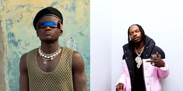 “Portable did in one year what Naira Marley took years to achieve” – Nigerian man