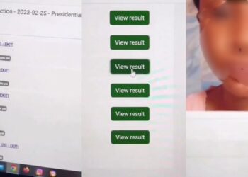 ‘INEC adhoc staff’ uploads her photo as result on INEC portal (video)
