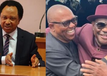“It’s like being nice to a lady you jilted” – Senator Shehu Sani describes Gov Wike and Peter Obi’s relationship
