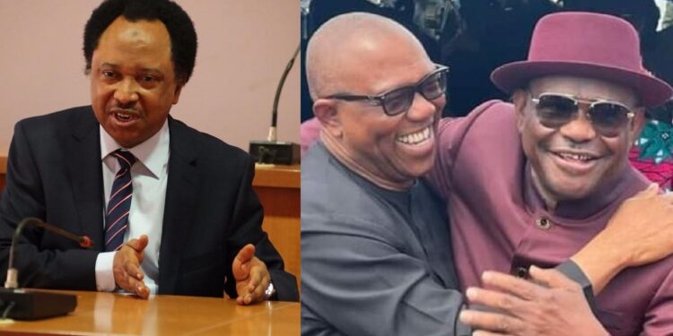 “It’s like being nice to a lady you jilted” – Senator Shehu Sani describes Gov Wike and Peter Obi’s relationship
