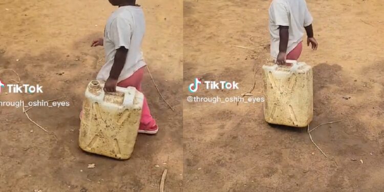 Mother shares video of little daughter fetching water after going from US to the village