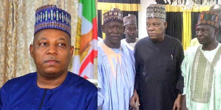 Kashim Shettima reacts