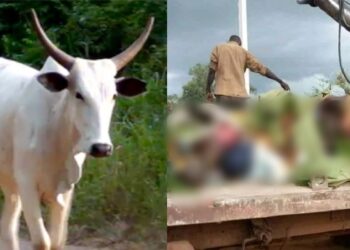 Kaduna clergyman laments