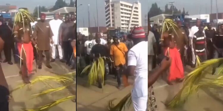 Protesters storm INEC office in Port Harcourt with native doctor (Video)