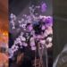 Fire breaks out during wedding reception in Lagos (video)