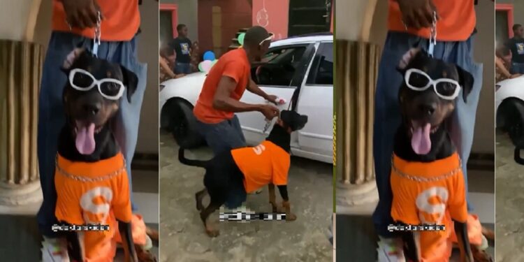 Nigerian man buys car for his dog in celebration of its birthday (Video)