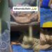 “We may not be rich, but we’re content” – Boy says as he proudly shows off the one-room apartment where his family lives (Video)