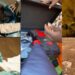Netflix presents special reward to honor Ikorodu Bois for ‘Extraction 2’ trailer remake (Video)
